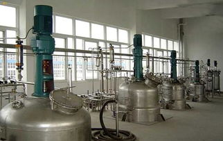 黃浦江源安吉白茶報價 廠家